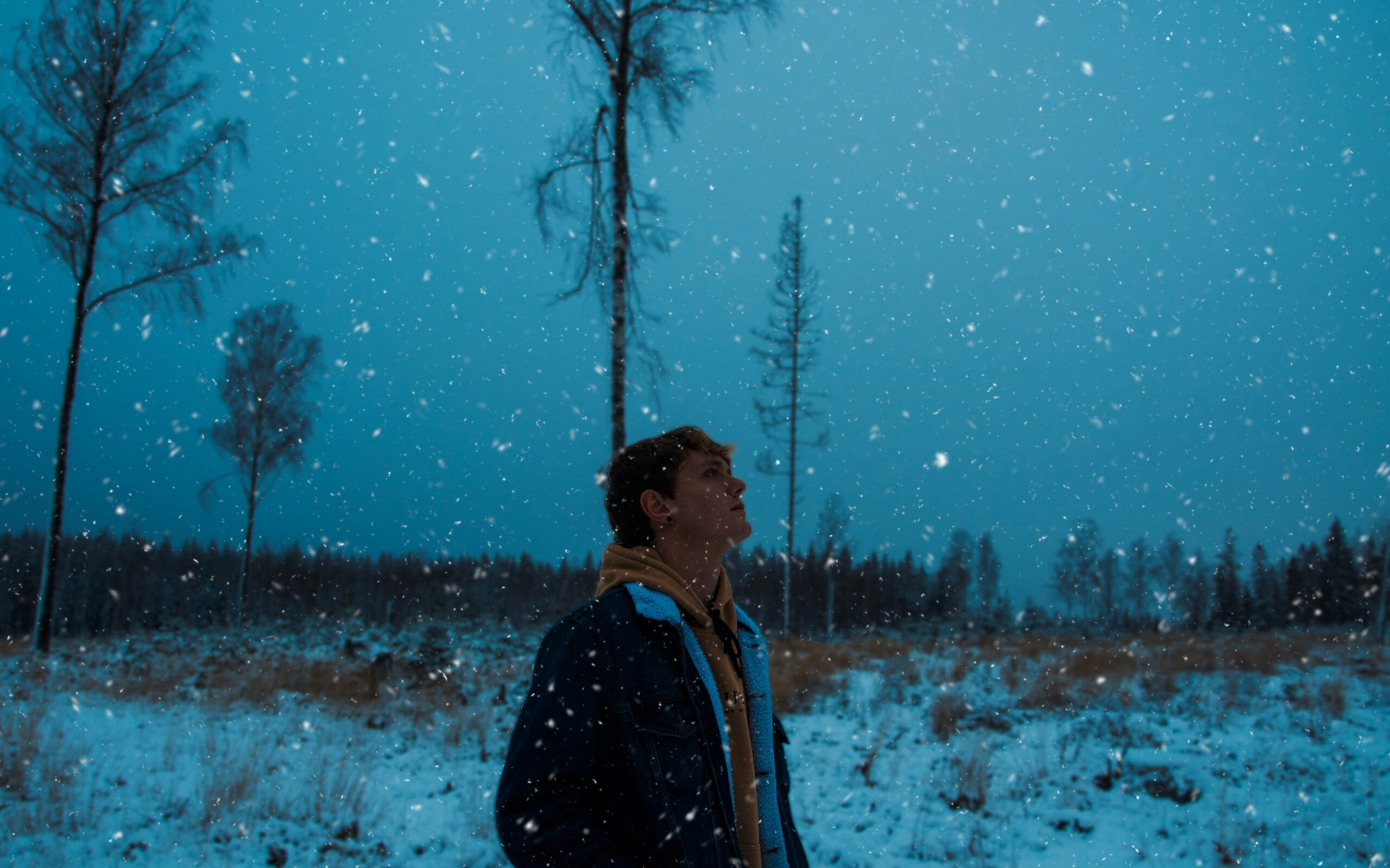 Read more about the article Christmas and Other Feelings I’d Rather Avoid
