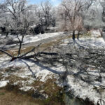 When the World Went Silent: Living Through the Nashville Ice Storm
