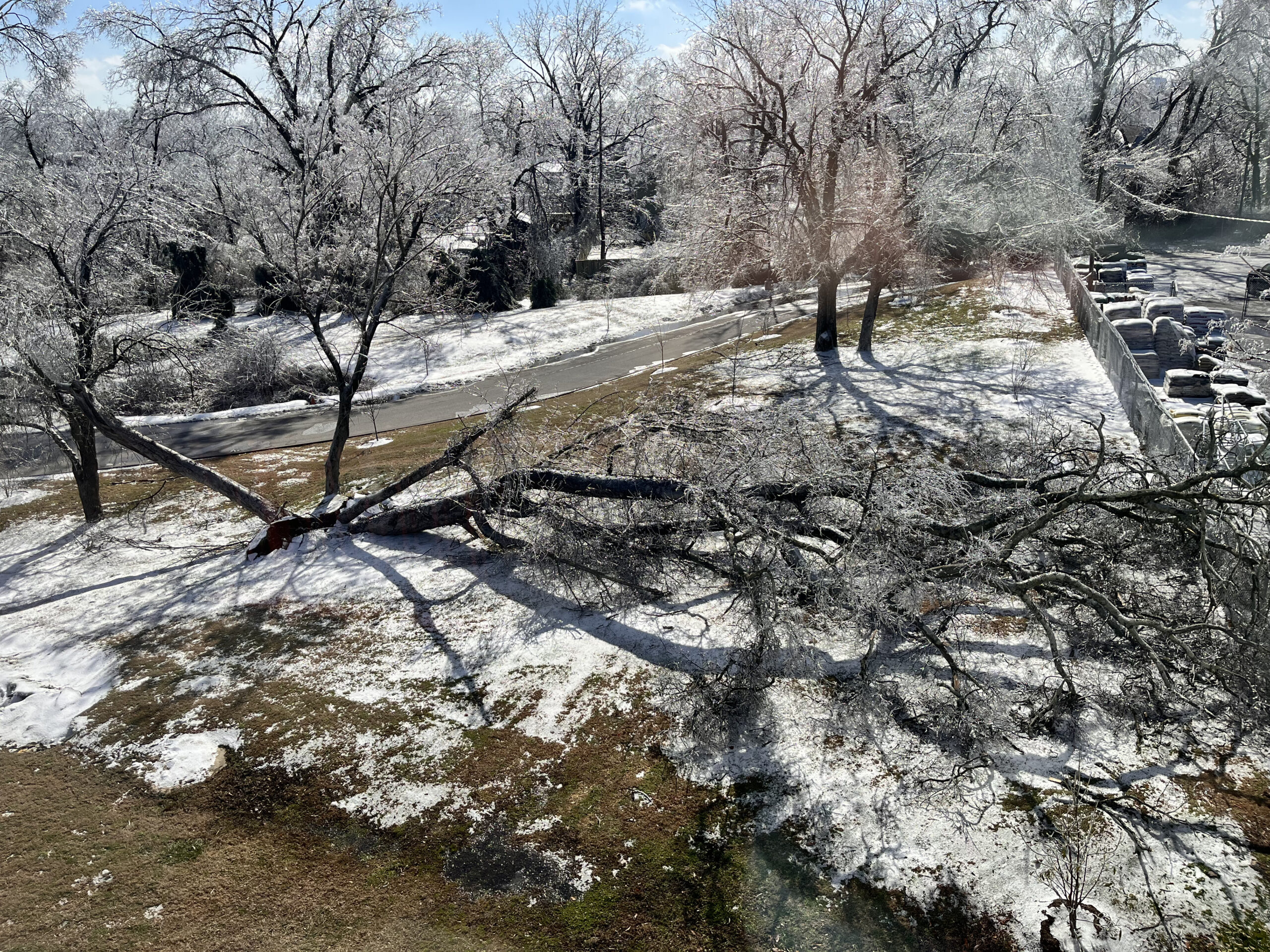 Read more about the article When the World Went Silent: Living Through the Nashville Ice Storm